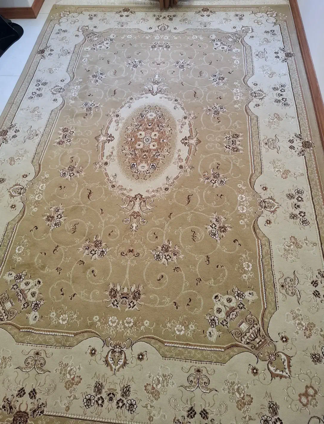 فرش 6 متری|فرش|رشت, شهرک پردیسان|دیوار