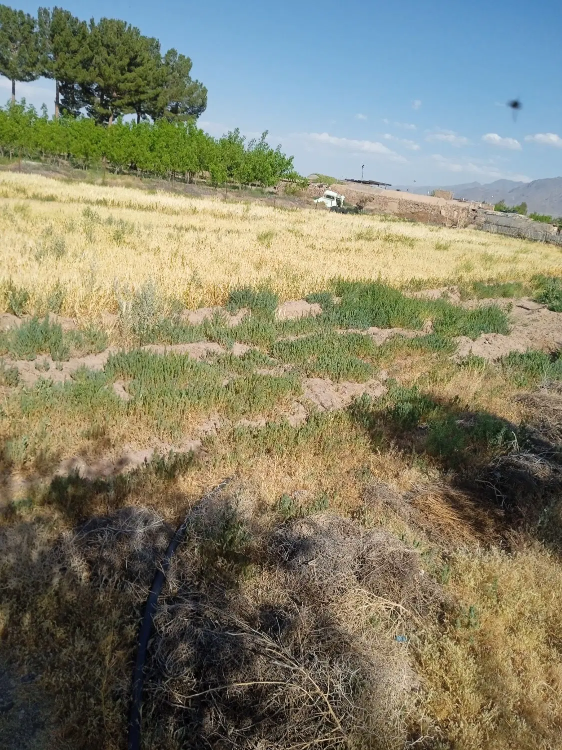 تصویر 3