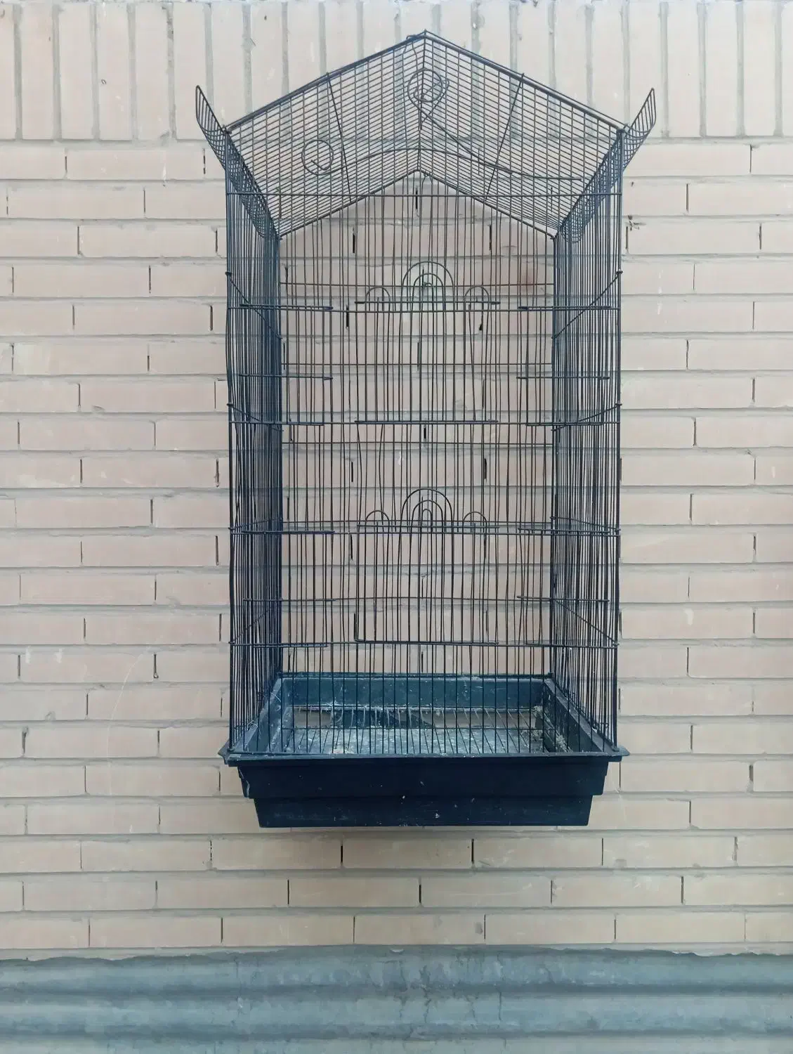 قفس عروس|لوازم جانبی حیوانات|مهریز, |دیوار