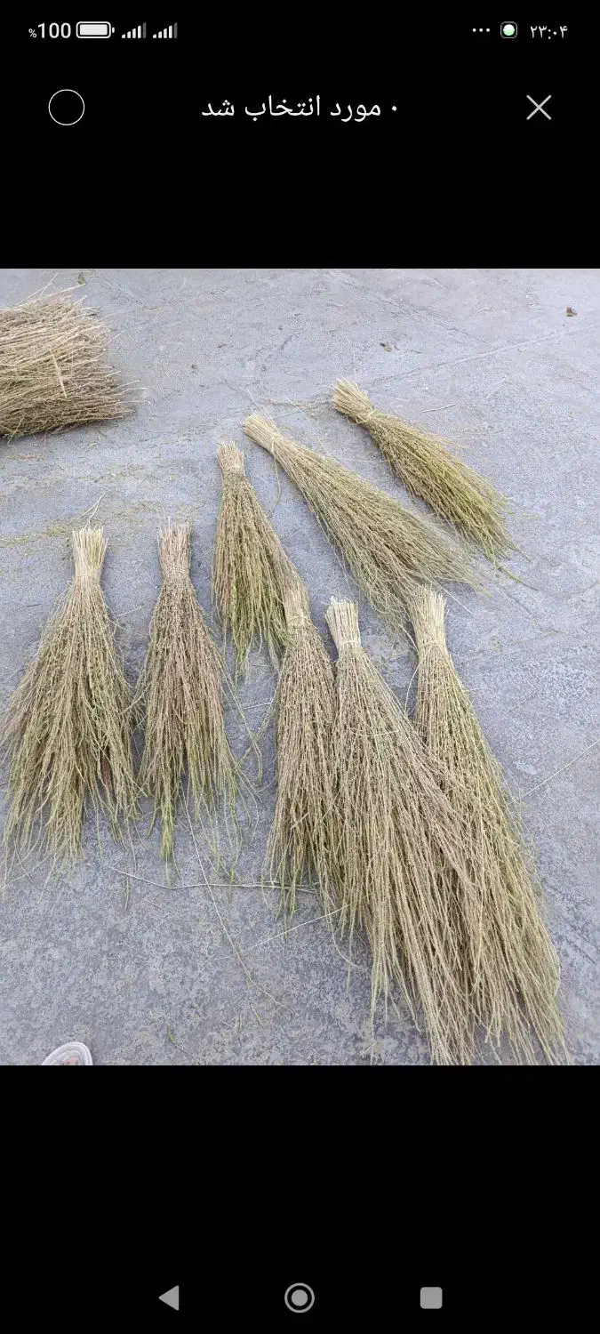 جارو|لوازم نظافت|دورود, |دیوار