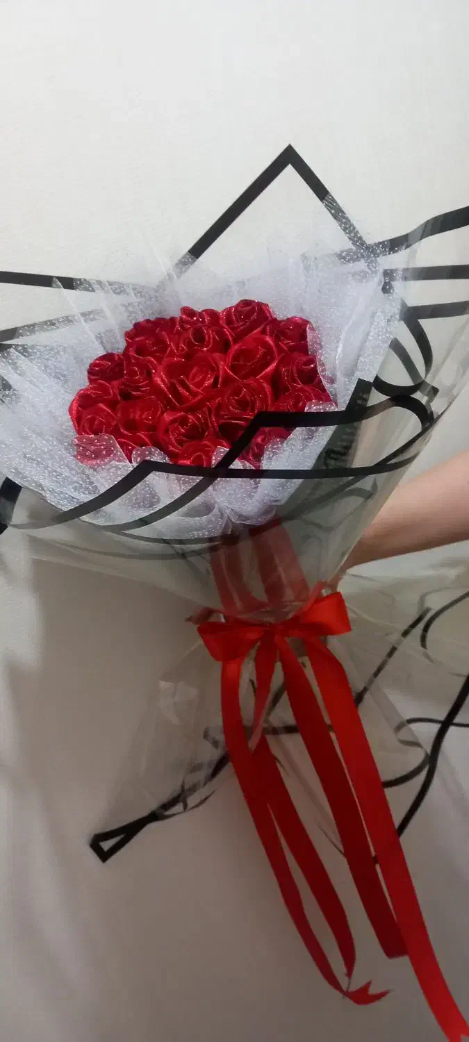 گل رز قرمز|گل و گیاه طبیعی|کرج, حصارک بالا|دیوار