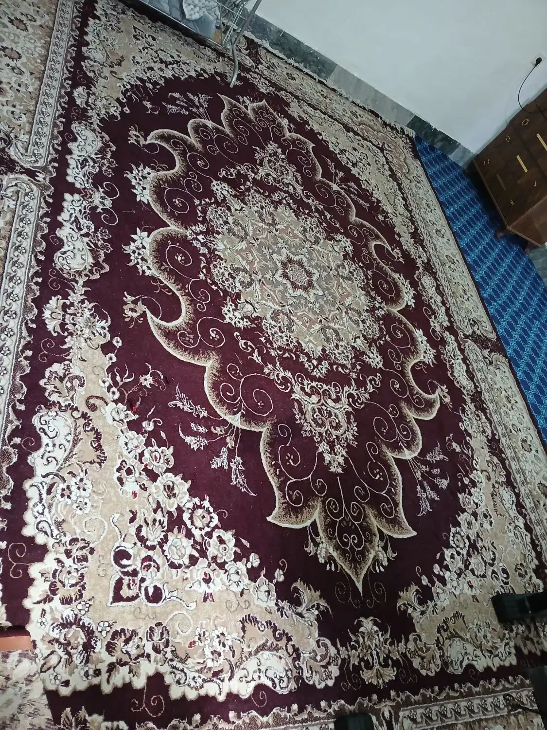گلیم خشک ۹ متری زیبا|گلیم، جاجیم، گبه|الشتر, |دیوار