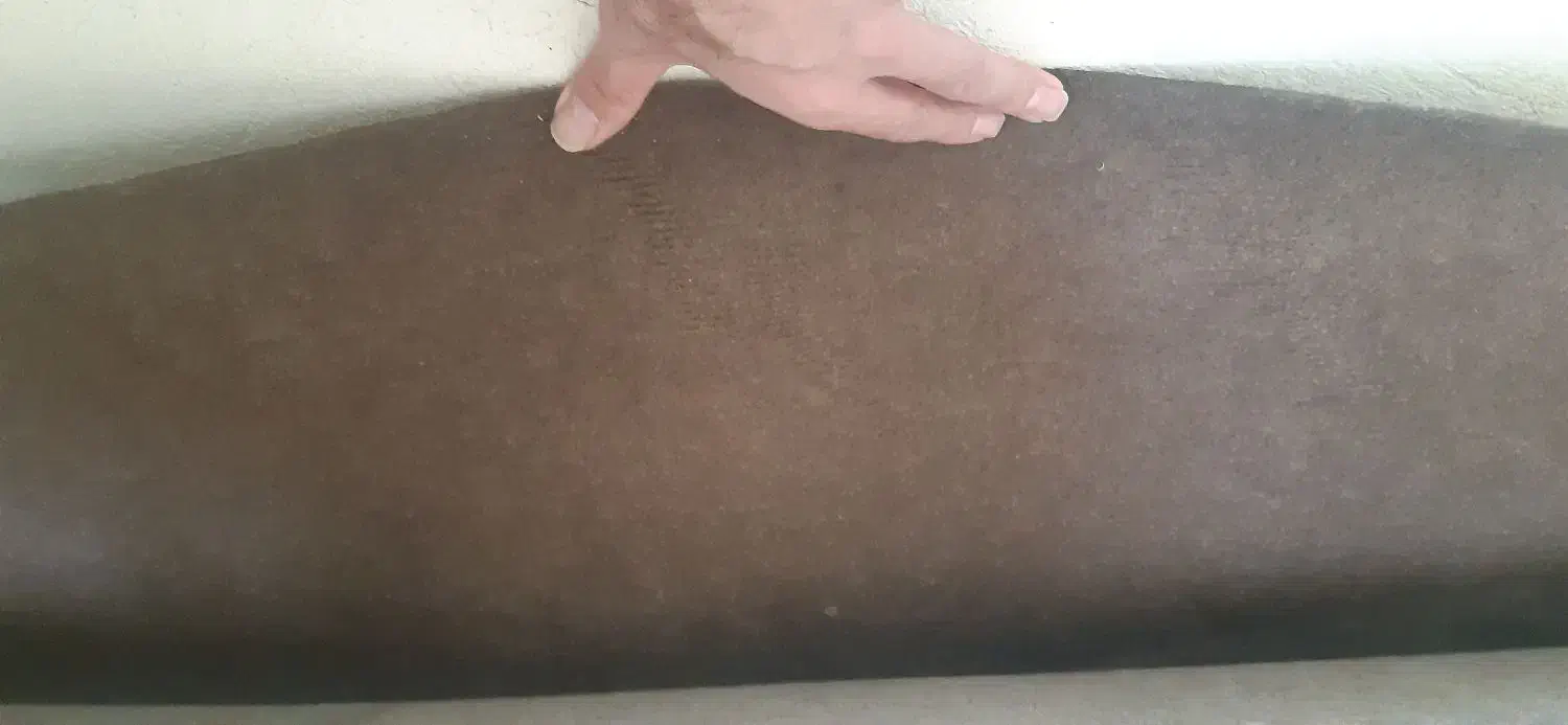 موکت|موکت|سنندج, |دیوار