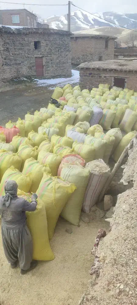 کاه درجه یک نرم ودرشت ارسال از کردستان|عمدهفروشی|آمل, |دیوار