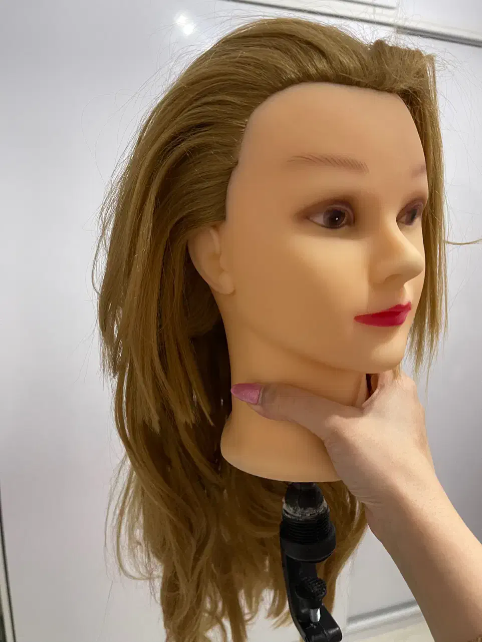 کله مانکن|آرایشگاه و سالن‌های زیبایی|رشت, معلم|دیوار