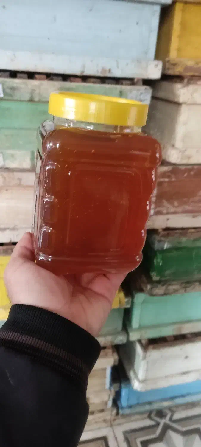 عسل|خوردنی و آشامیدنی|خاوه, |دیوار