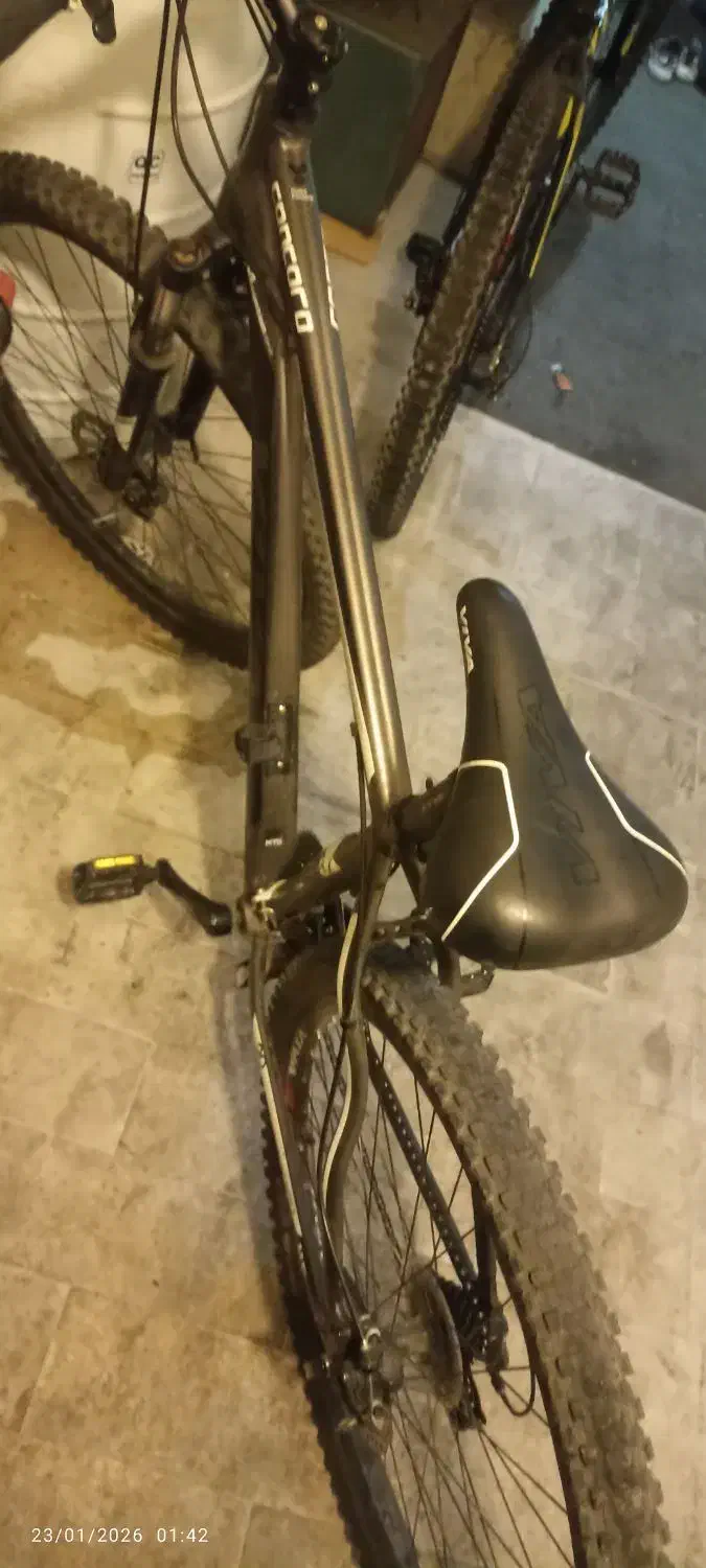 فروش دوچرخه 2عددقیمت 46میلیون آلومینیومی ترمزدیسکی|دوچرخه، اسکیت، اسکوتر|تهران, امام زاده عبدالله|دیوار