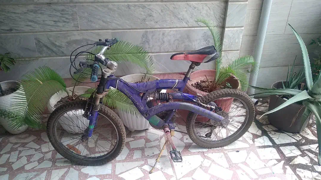 فروش دوچرخه|دوچرخه، اسکیت، اسکوتر|امیرکلا, |دیوار