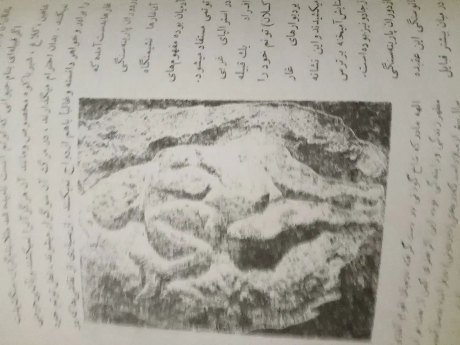 کتاب قدیمی کلکسیونی|کتاب و مجله تاریخی|تهران, سنائی|دیوار