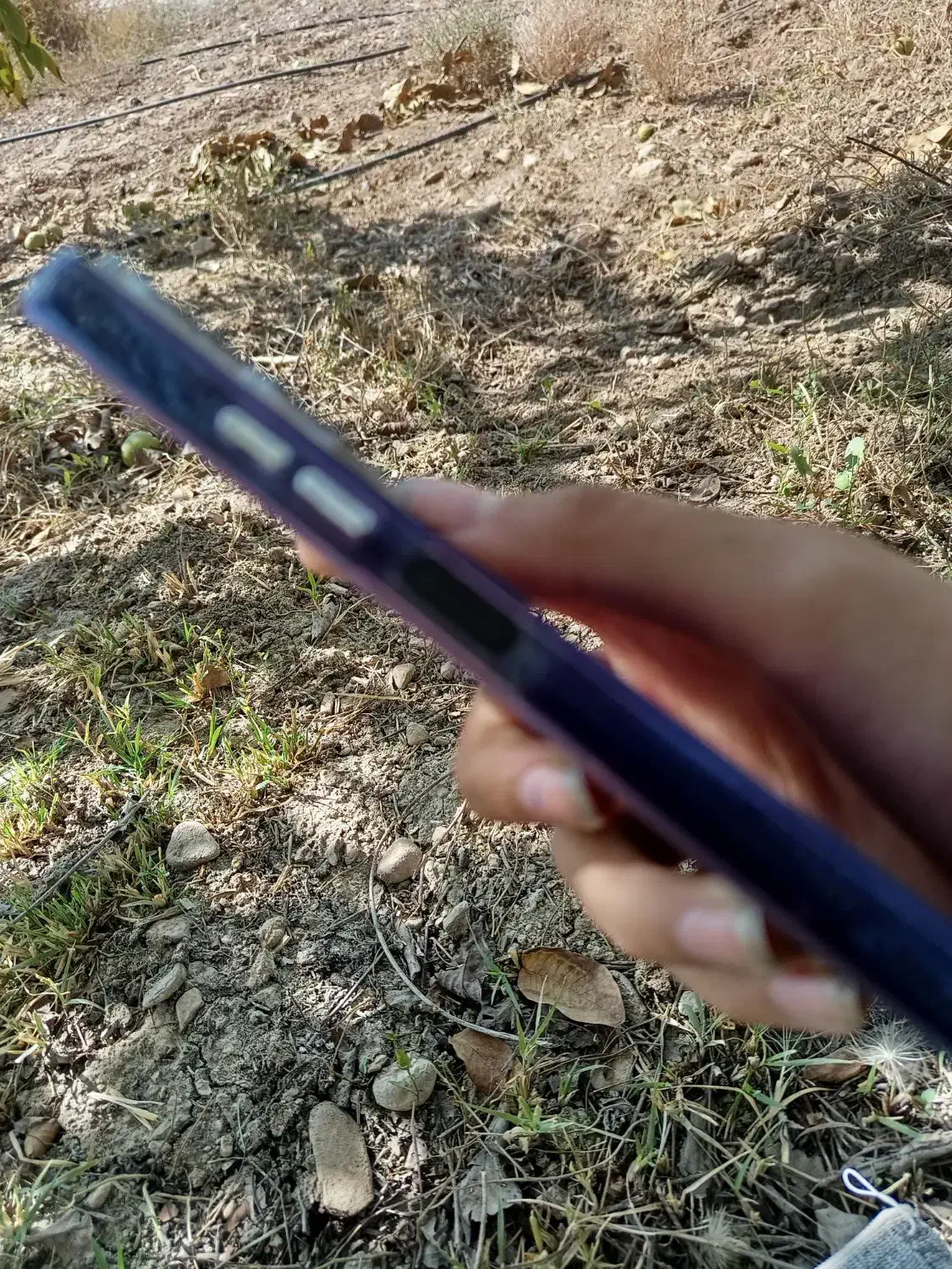 ردمی13|موبایل|گنبد کاووس, |دیوار