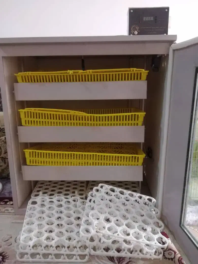 دستگاه جوجه کشی|ماشینآلات صنعتی|کازرون, |دیوار