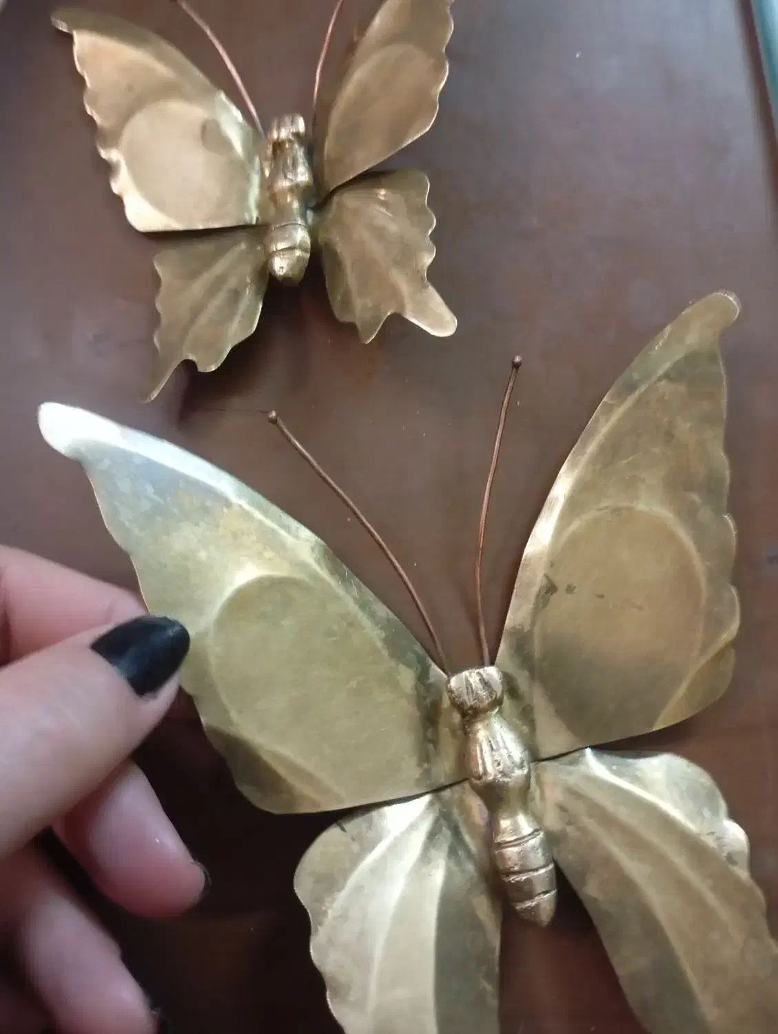 پروانه|مجسمه، تندیس، ماکت|تبریز, |دیوار