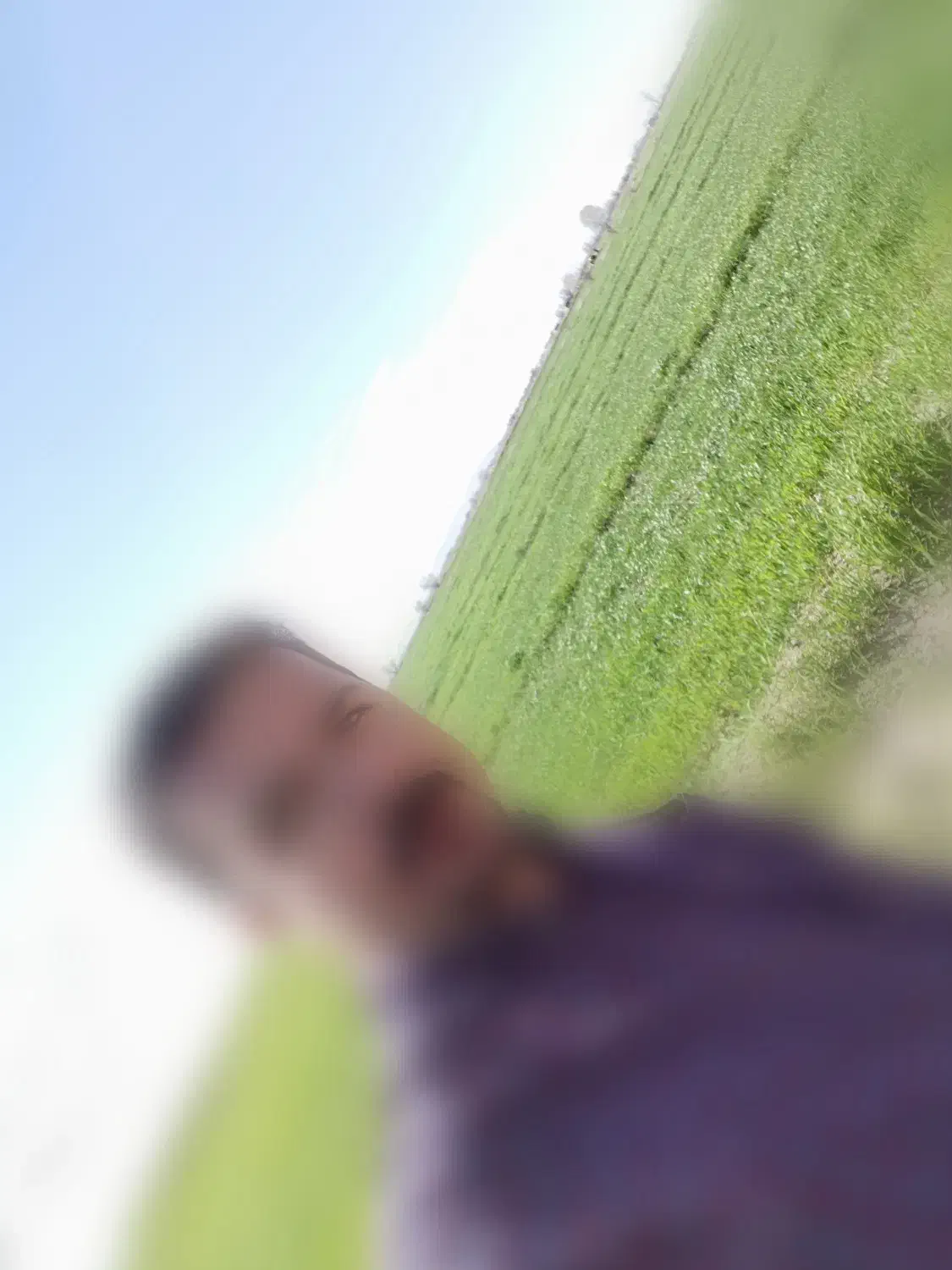 ۲ هکتار زمین آبی در روستای قباغکندی|فروش دفتر صنعتی، کشاورزی، تجاری|میاندوآب, |دیوار