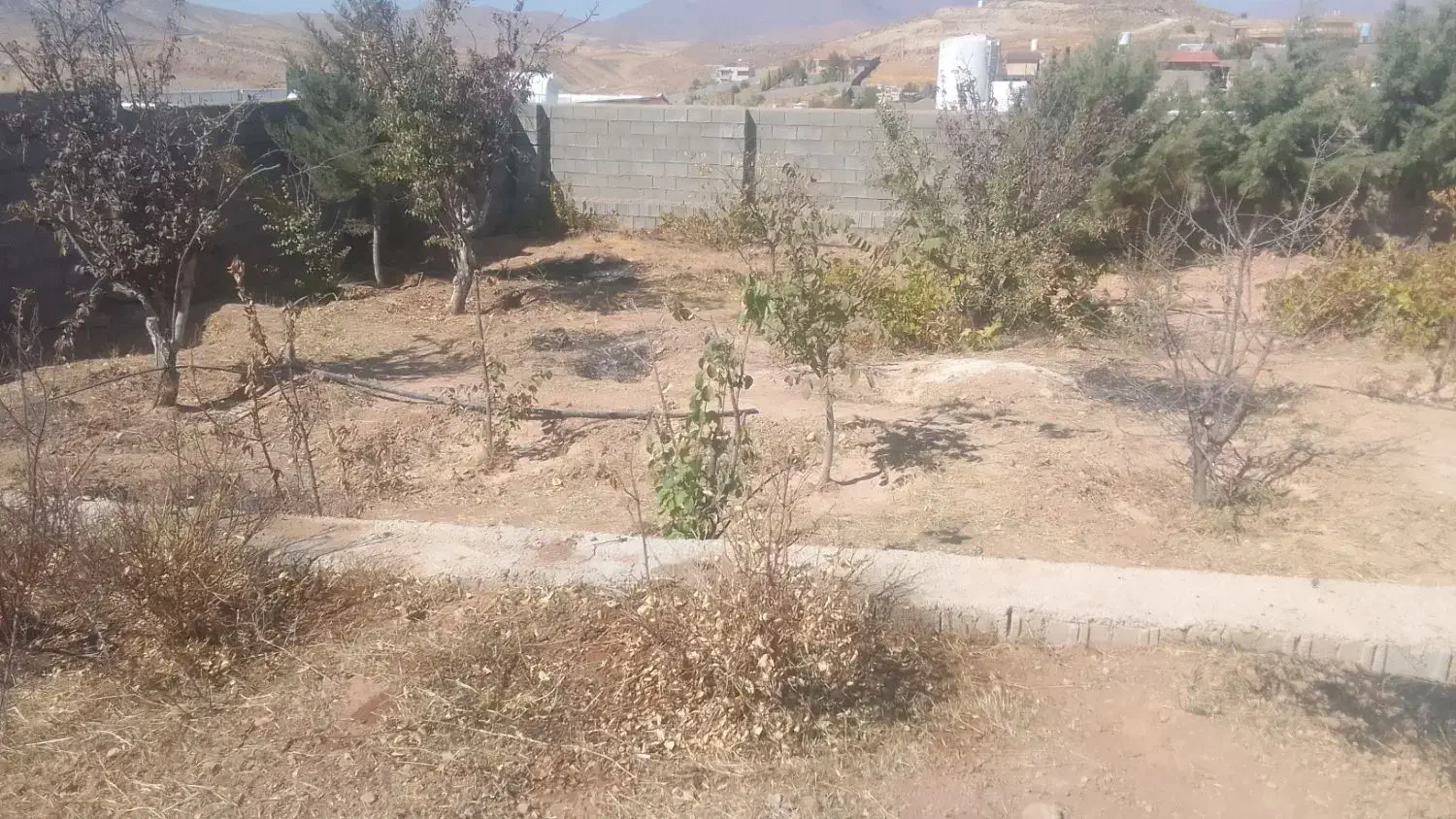 باغ شهری|فروش خانه و ویلا|شیراز, مجتمع شهید پرویزی|دیوار