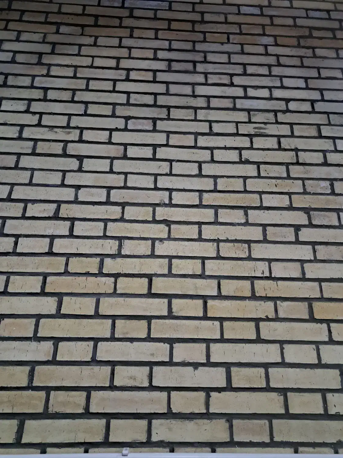 فروش امتیاز وام ملی مهربانی|کارت هدیه و تخفیف|میبد, |دیوار