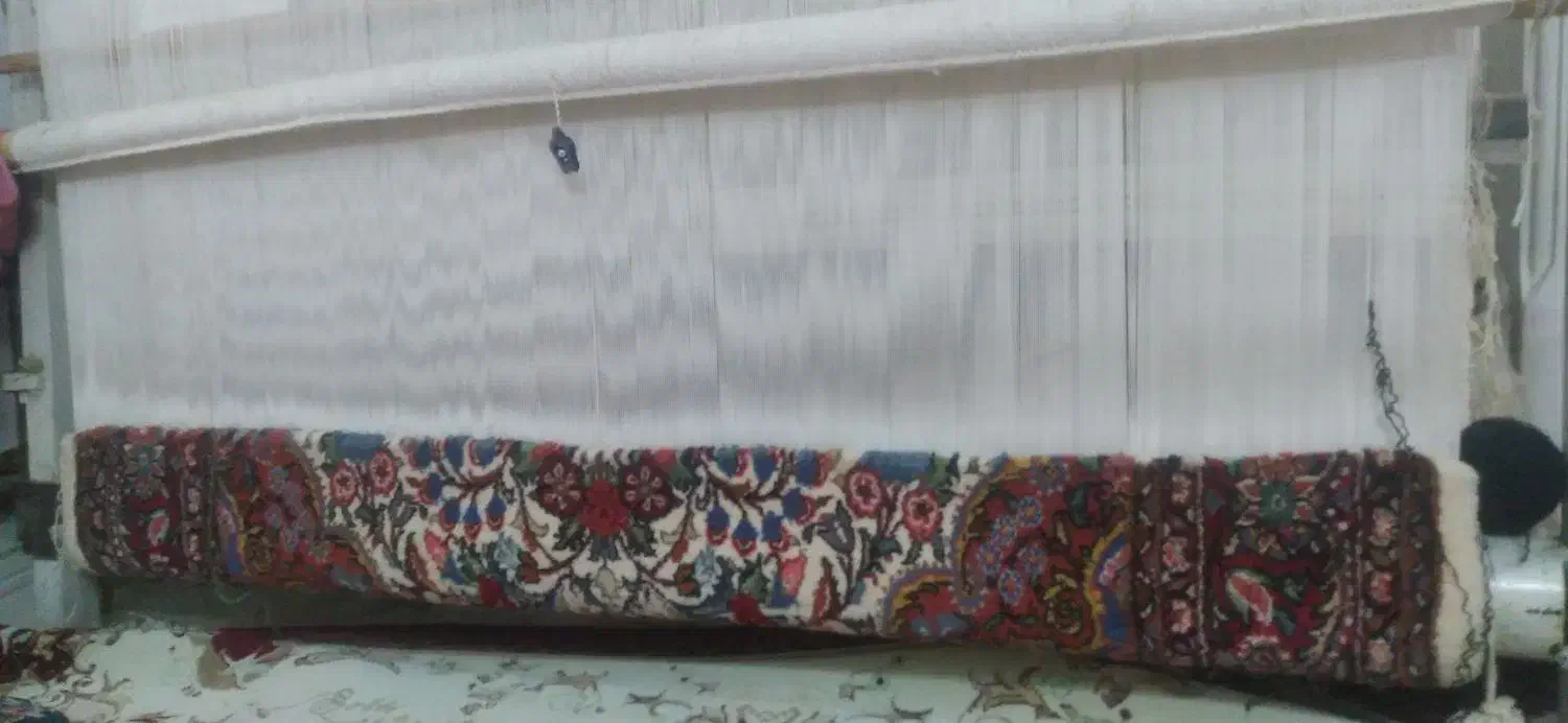 فرش دستبافت،بادار قالی،و کلیه ی لوازم..|فرش|ملایر, |دیوار