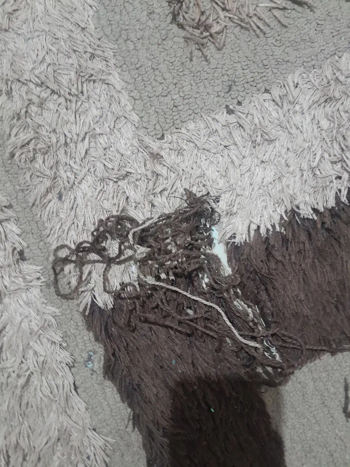 ۶متری|فرش|چهاردانگه (تهران), |دیوار