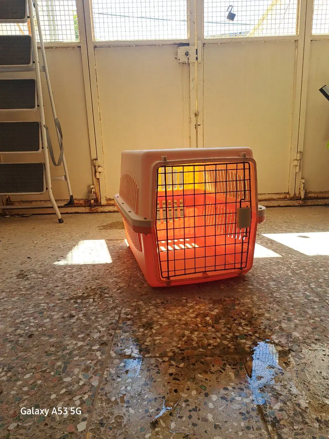 فروش قفس سگ خانگی|لوازم جانبی حیوانات|دوگنبدان, |دیوار