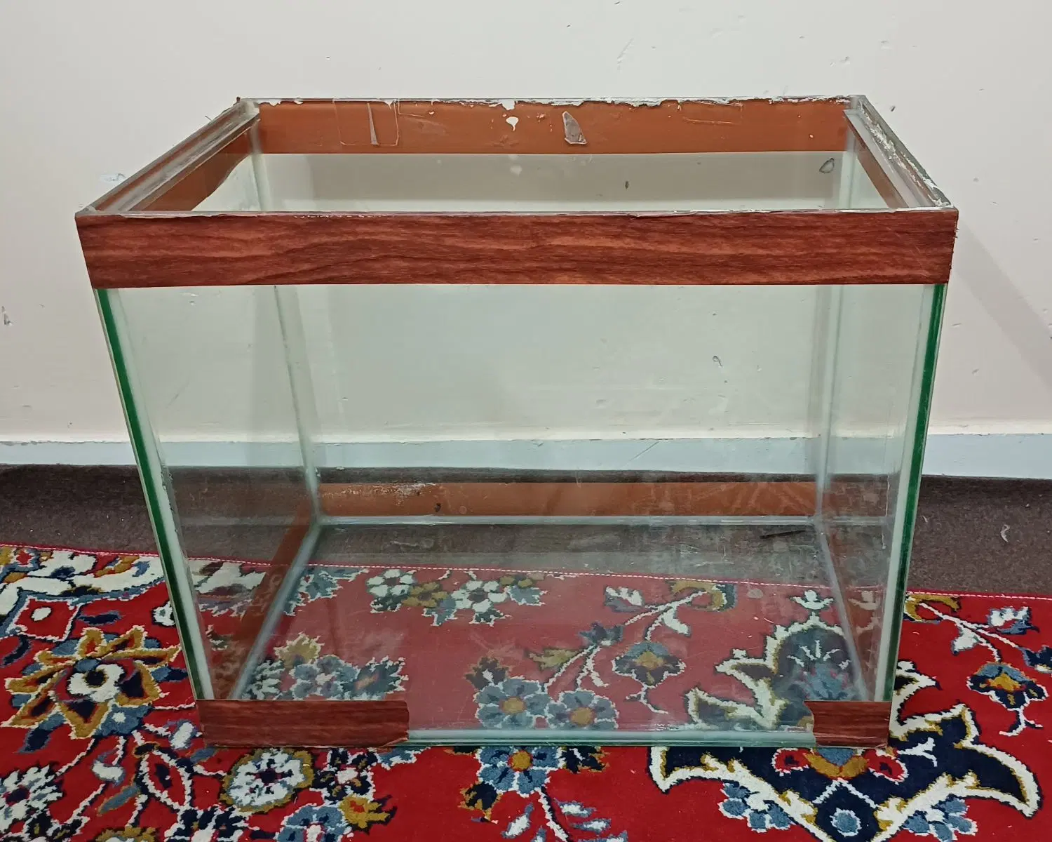 آکواریوم|ماهی|تهران, سلیمانی|دیوار