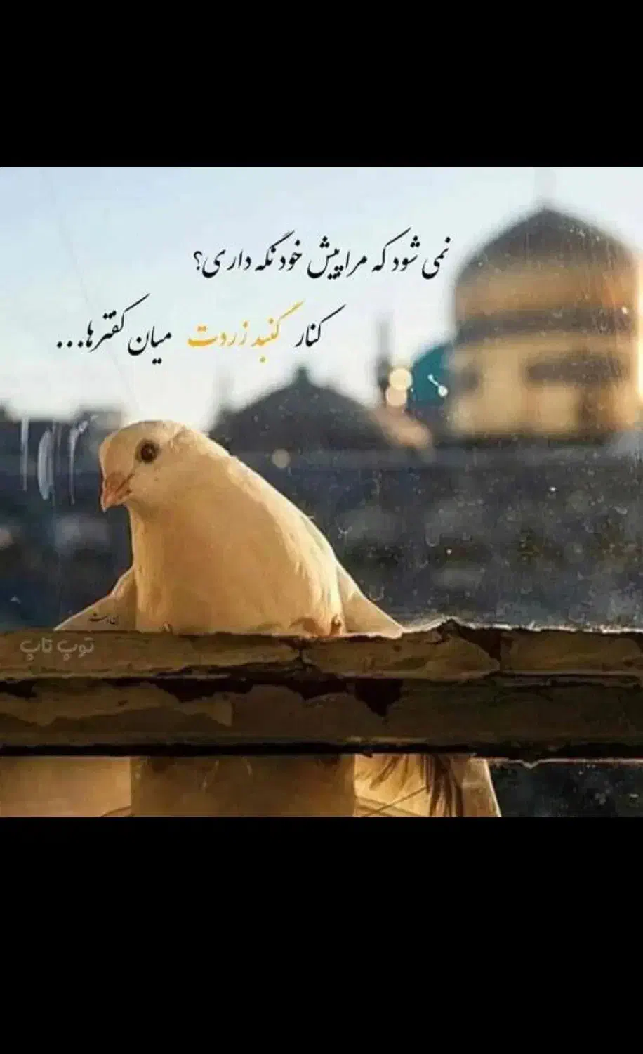 تور زیارتی مشهد مقدس با مهر آذین پرواز عالی قاپو*|تور و چارتر|اصفهان, خواجه عمید|دیوار