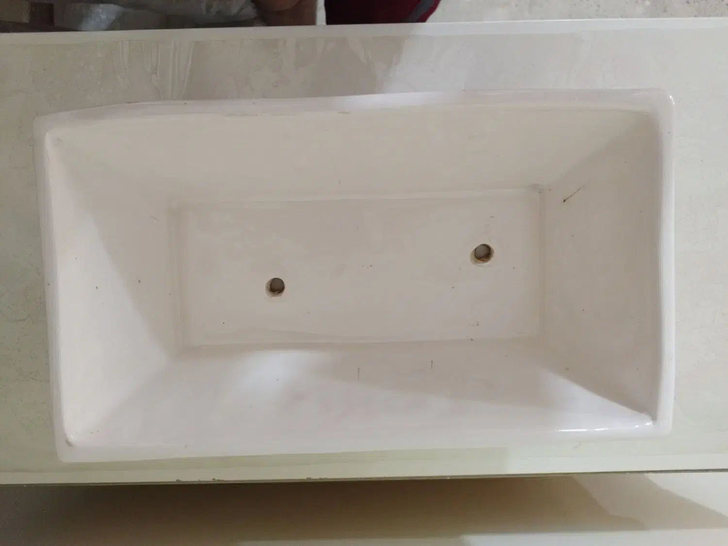 گلدان|گل و گیاه طبیعی|تهران, یافت آباد جنوبی|دیوار