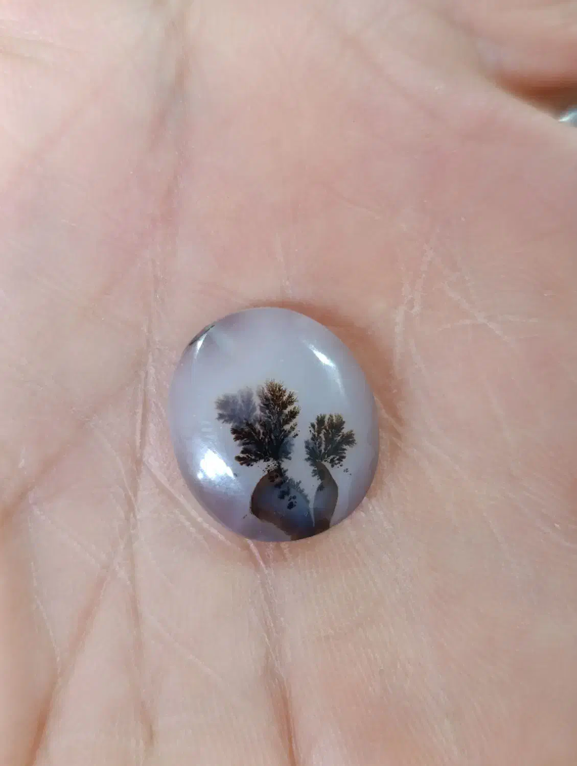 شجر تک درخت|جواهرات|مرودشت, ژیان|دیوار