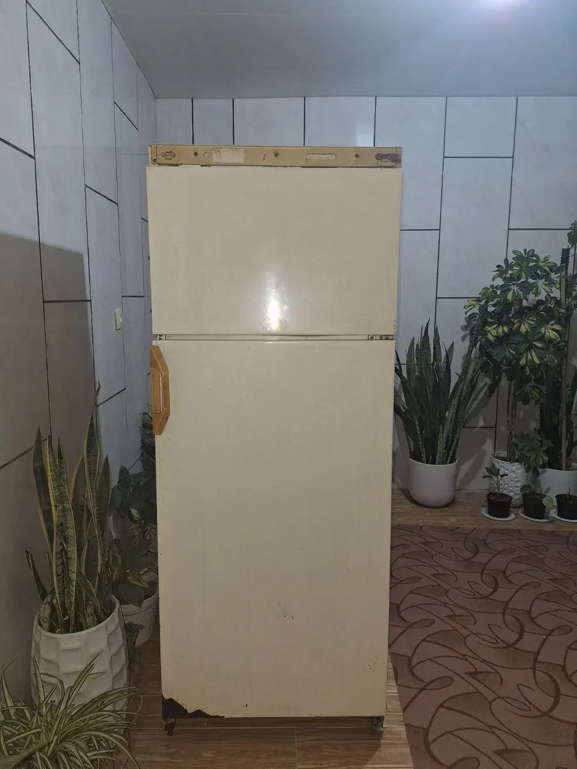 یخچال فیلور|یخچال و فریزر|قائمشهر, |دیوار