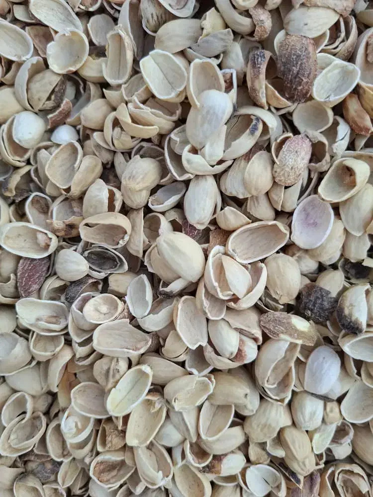 پوست پسته|عمده‌فروشی|ماکو, |دیوار