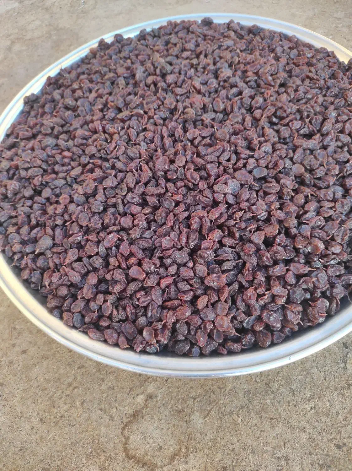 کشمش بش درجه یک پاک شده|خوردنی و آشامیدنی|شیراز, دست خضر|دیوار