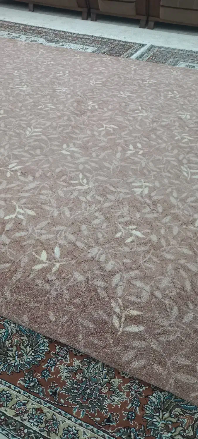 پالاز موکت در حد نو|موکت|اندیمشک, |دیوار