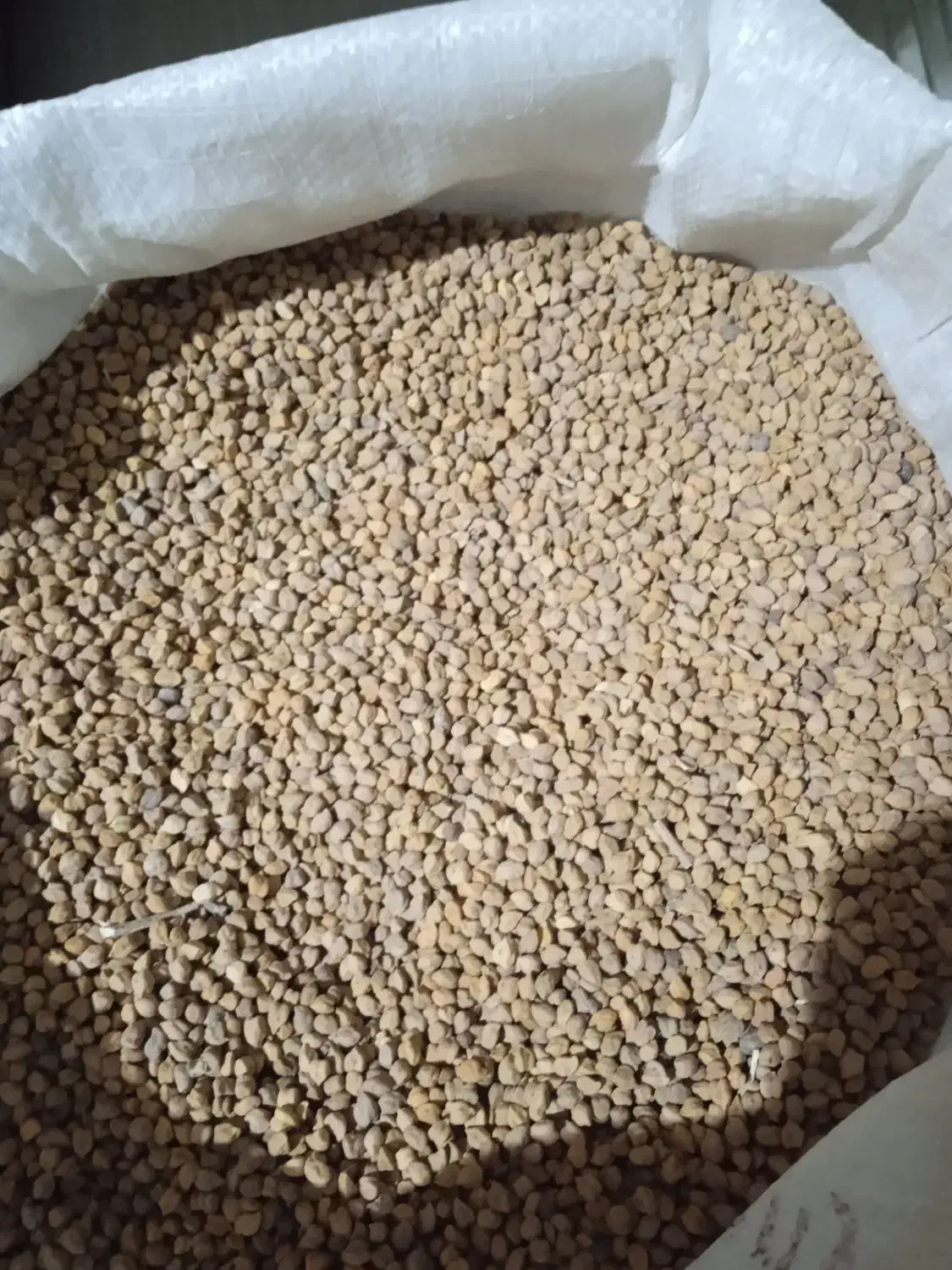 فروش نخود|خدمات باغبانی و درختکاری|بانه, |دیوار