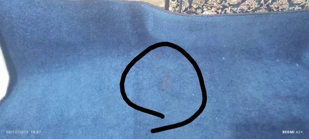 پالازموکت ۹متری|موکت|مریوان, |دیوار