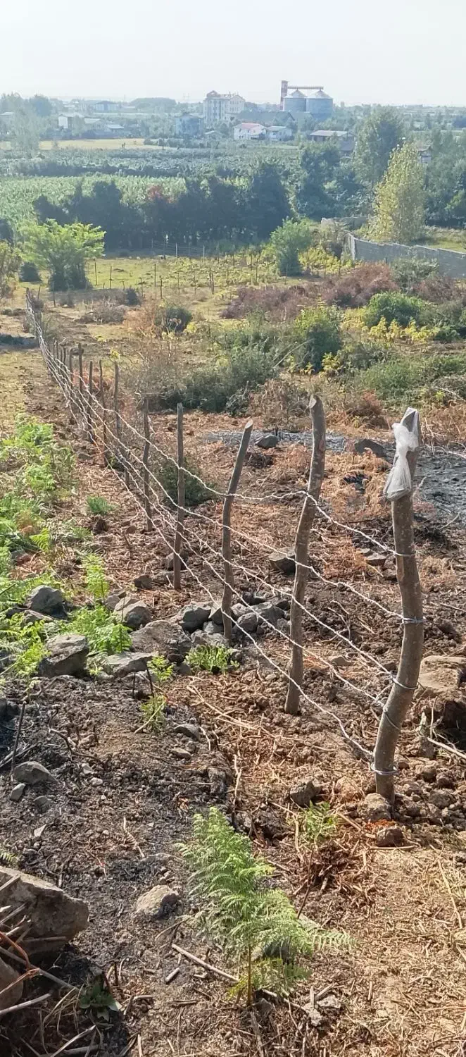 زمین ویلایی ومسکونی|فروش زمین و ملک کلنگی|لوندویل, |دیوار