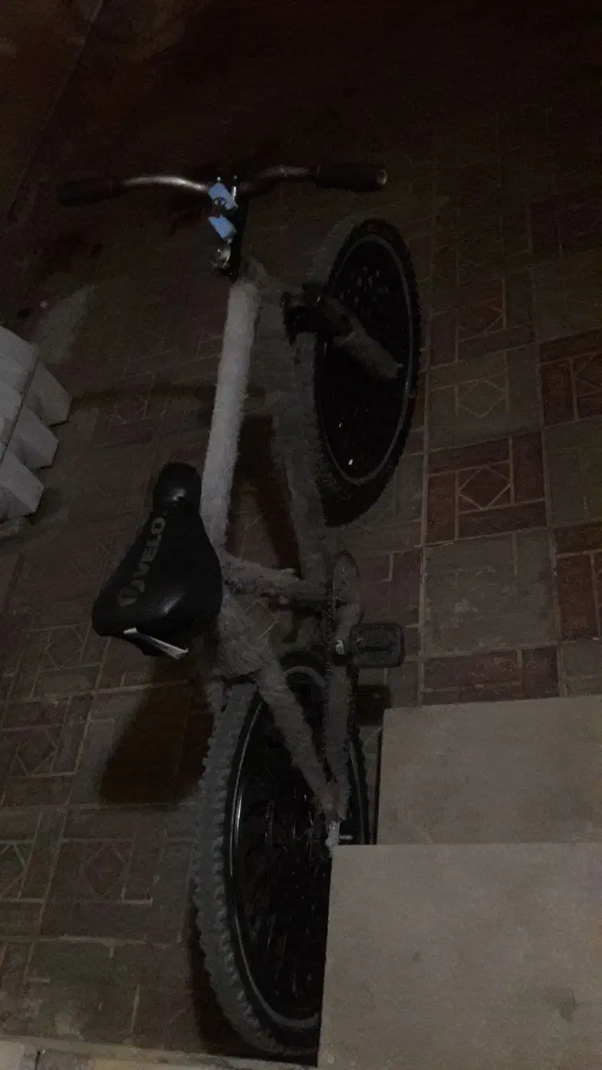 دوچرخه دماوند کمکی|دوچرخه، اسکیت، اسکوتر|بیرجند, |دیوار