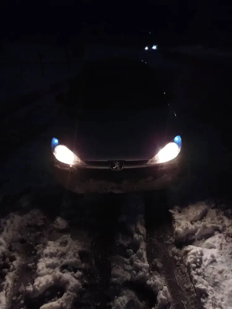 ۲۰۶ تیپ ۲|خودرو سواری و وانت|بروجن, |دیوار