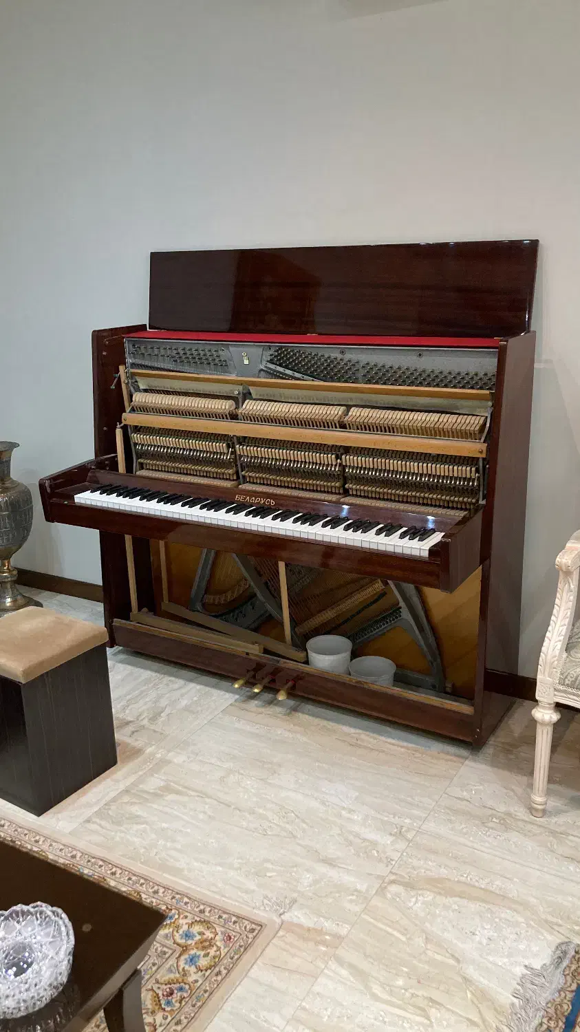 کوک و رگلاژ پیانو|پیانو، کیبورد، آکاردئون|تهران, جردن|دیوار