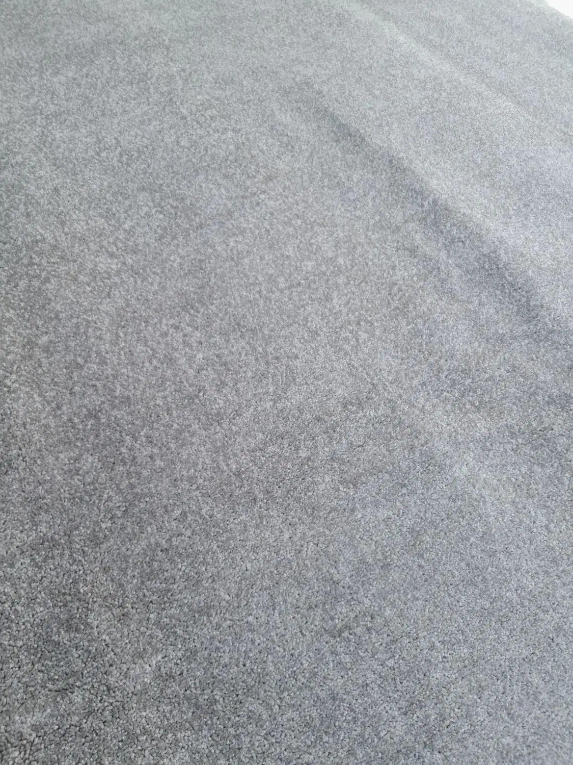 پالازموکت|موکت|ایلام, |دیوار