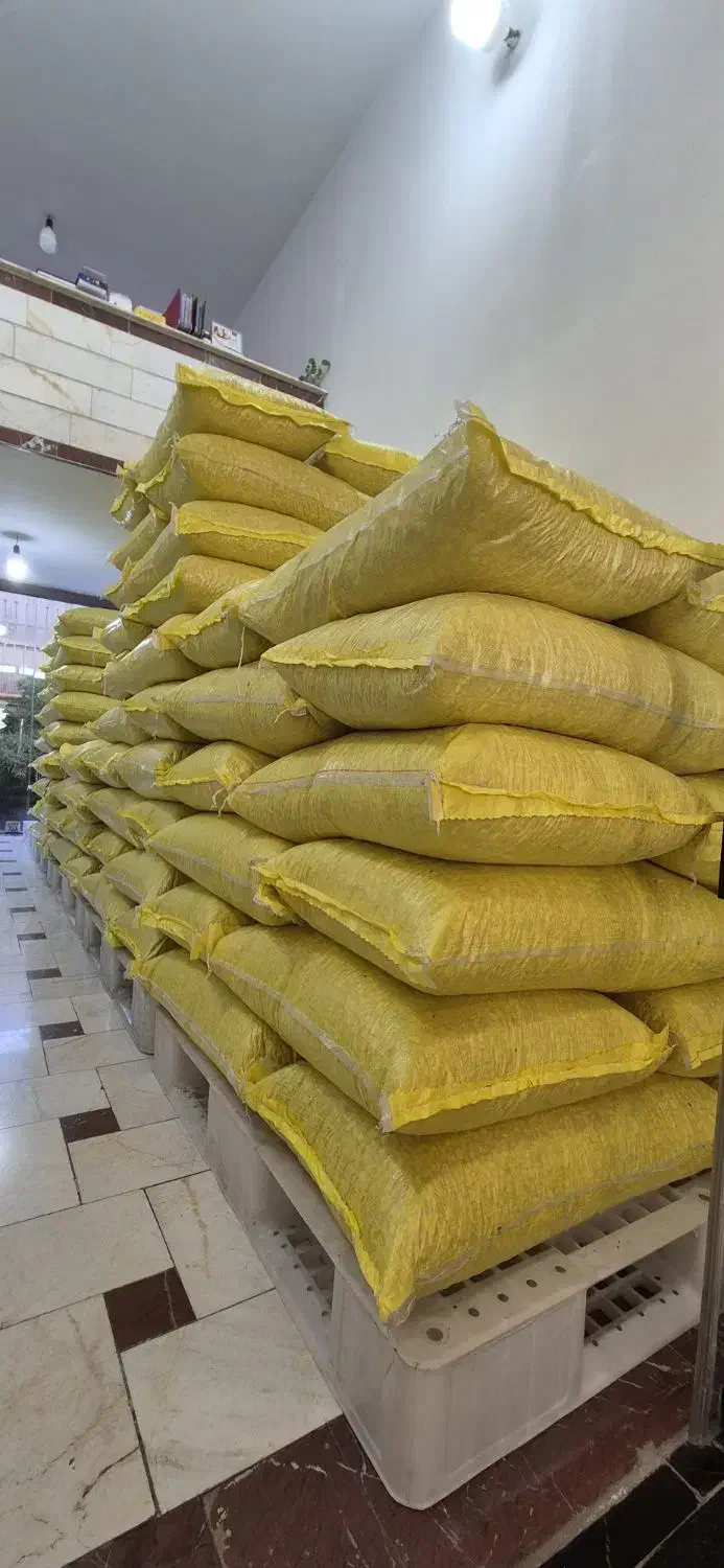 شاگرد کارگر جوان در مغازه عمده فروشی|استخدام خدمات فروشگاه و رستوران|تهران, کیانشهر|دیوار