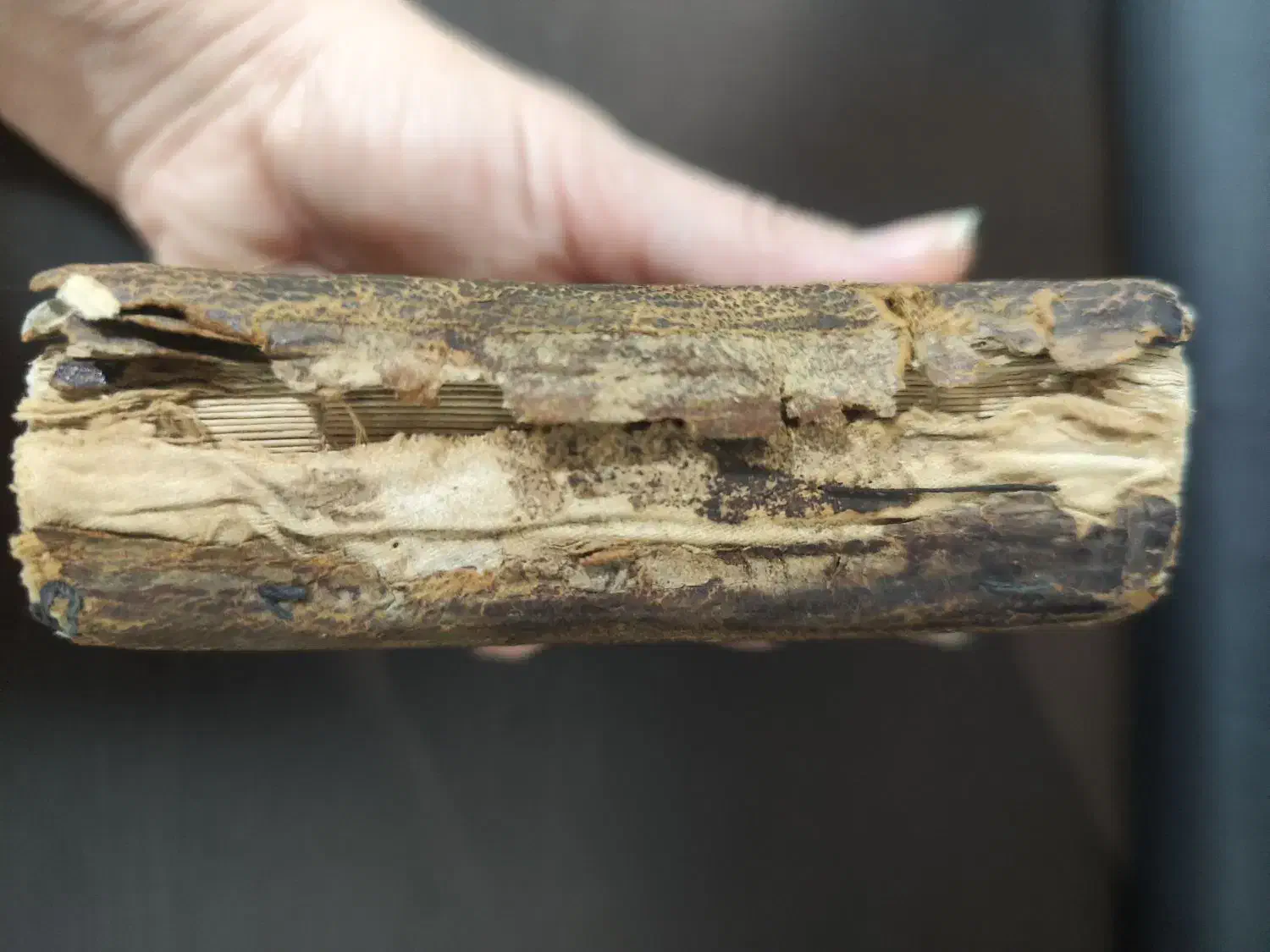 کتاب قرآن|کلکسیون اشیاء عتیقه|ملایر, |دیوار