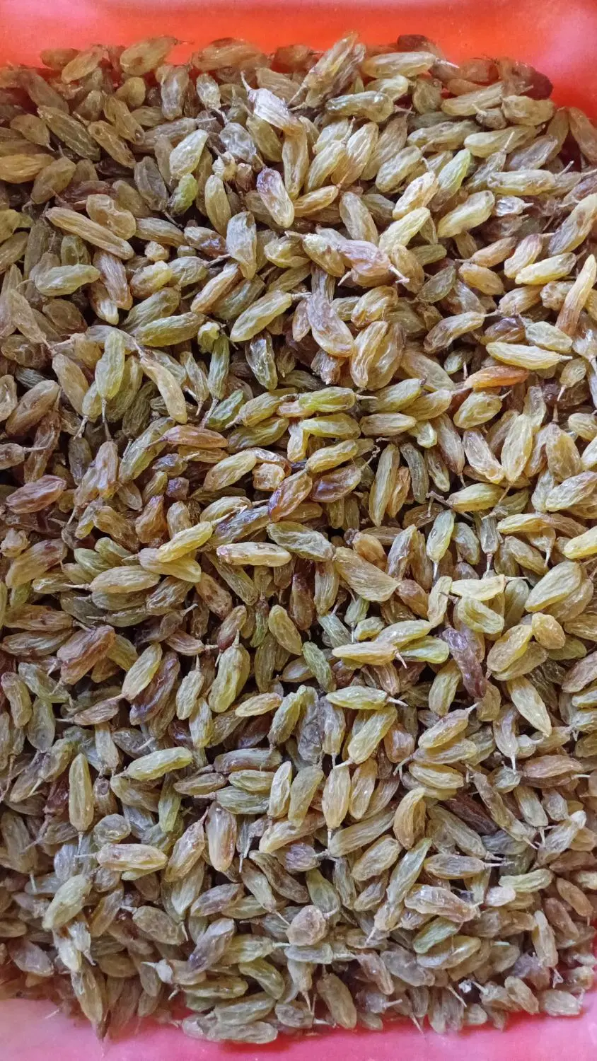 کشمش|خوردنی و آشامیدنی|زاوه, |دیوار