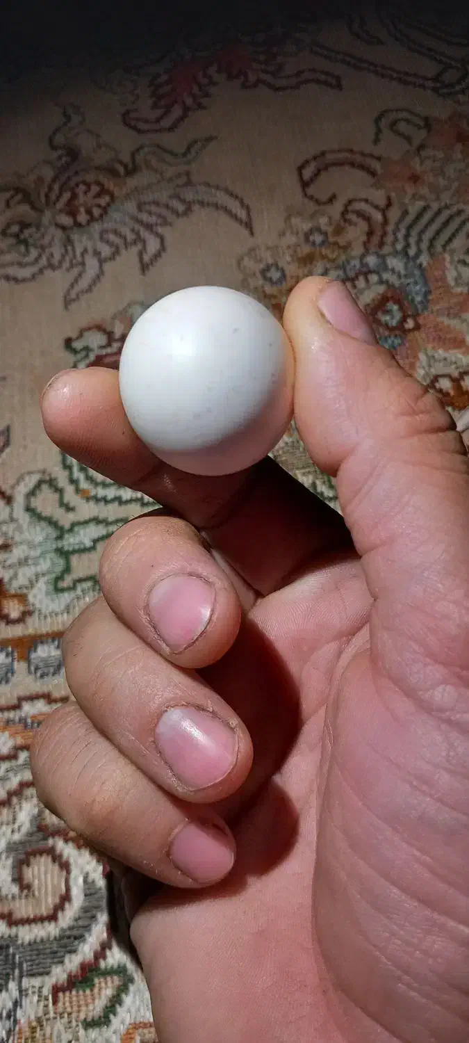 سنگ الماس آسیاب|کلکسیون اشیاء عتیقه|زنجان, |دیوار