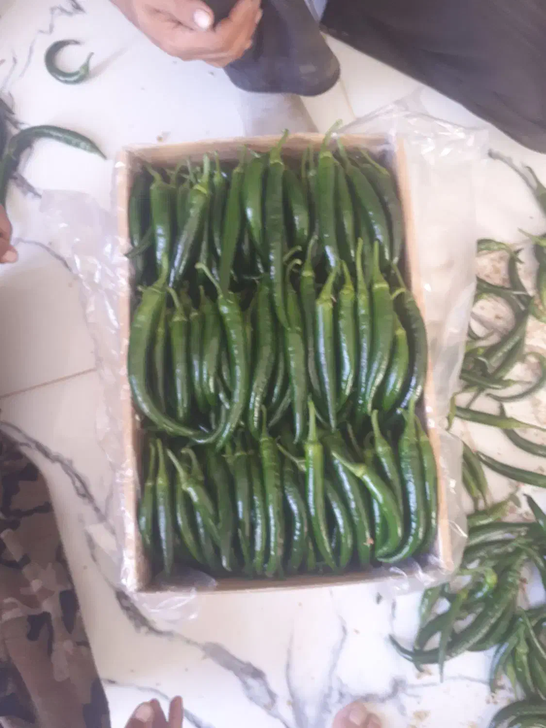 گلخانه صنعتی|فروش دفتر صنعتی، کشاورزی، تجاری|خوسف, |دیوار