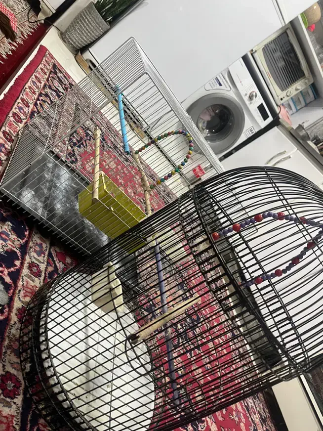 قفس پرنده|لوازم جانبی حیوانات|مشهد, محمدآباد|دیوار