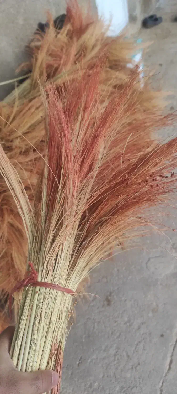 جارو قرمز رسیده|لوازم نظافت|خرم‌آباد, |دیوار