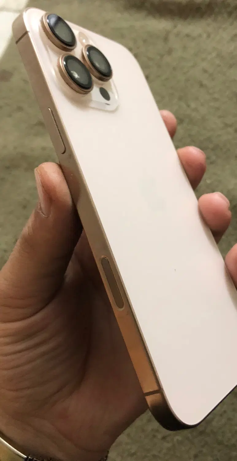 16pro max256|موبایل|بیرجند, |دیوار