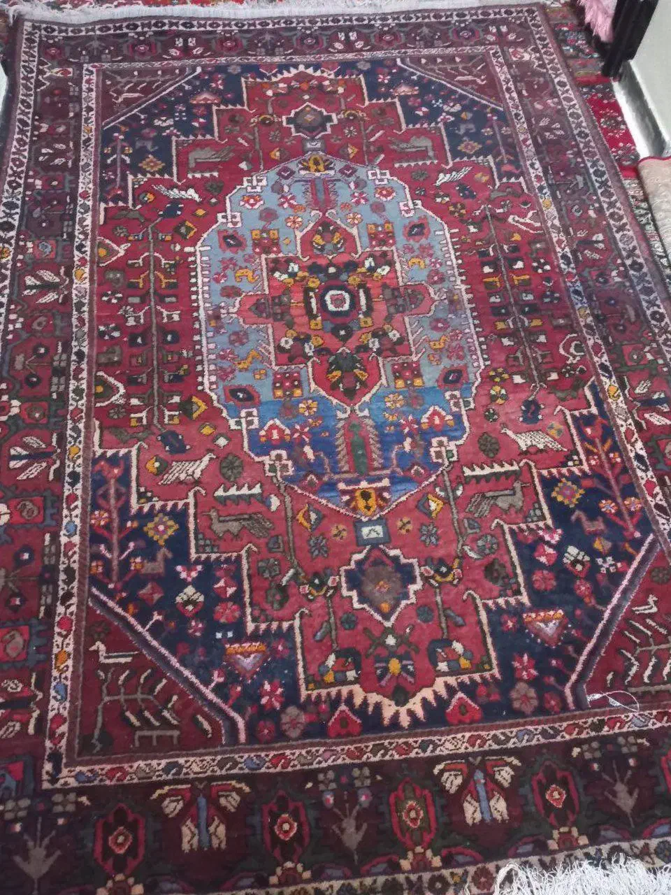 قالی دست باف یلمه قالی تبریزی|فرش|دهاقان, |دیوار