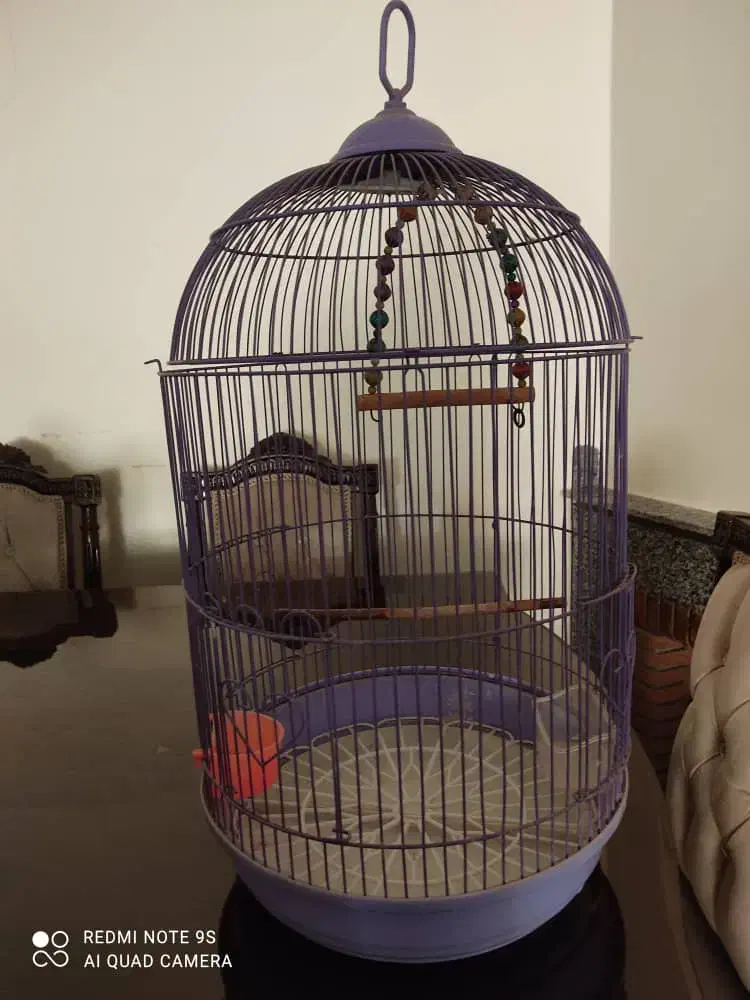 قفس پرنده|لوازم جانبی حیوانات|کرج, فاز ۳ مهرشهر|دیوار