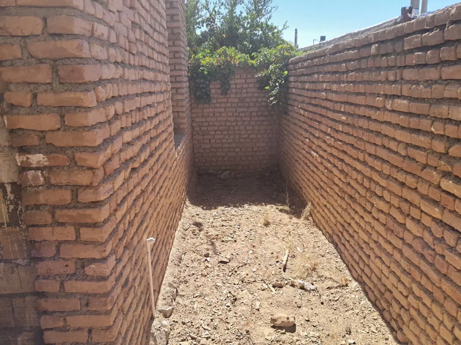 تصویر 7