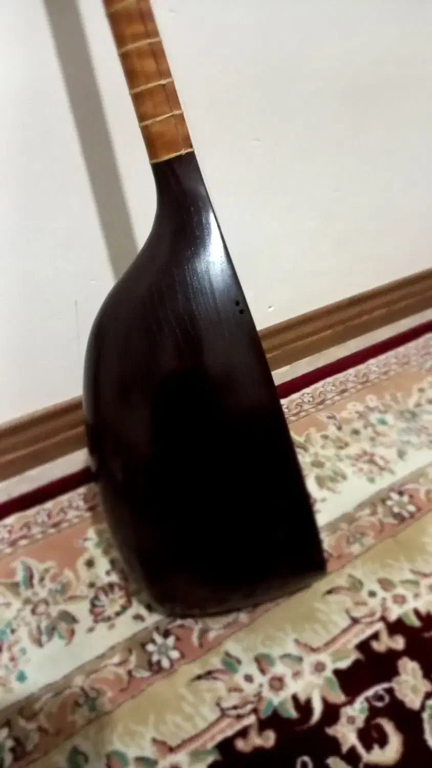 تنبوراستاد افشین کرند|سازهای سنتی|همدان, |دیوار