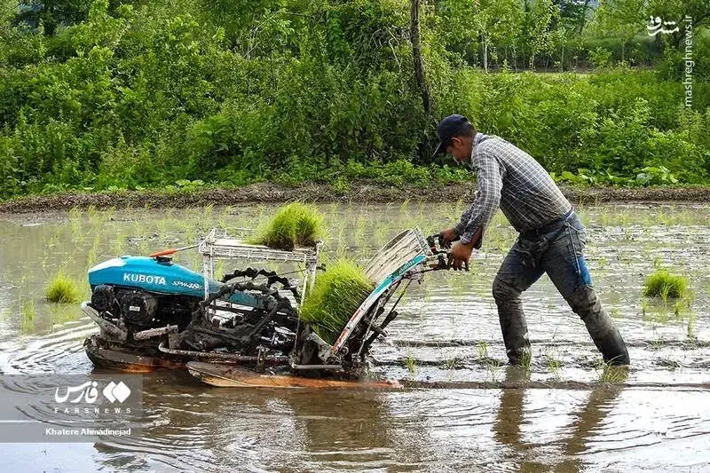 فروش ۲۰ کیلو قیمت ۶۰۰۰۰۰۰ میلیون تومان|خوردنی و آشامیدنی|رشت, آزادگان|دیوار